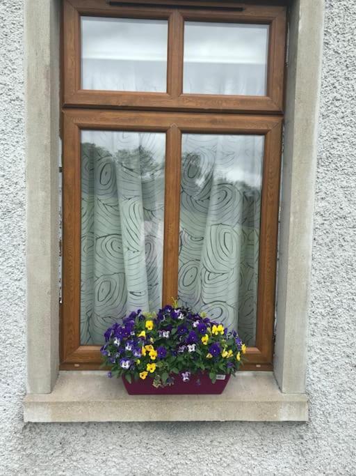 Forest View - Castlewellan, County Down Belfast Exterior photo