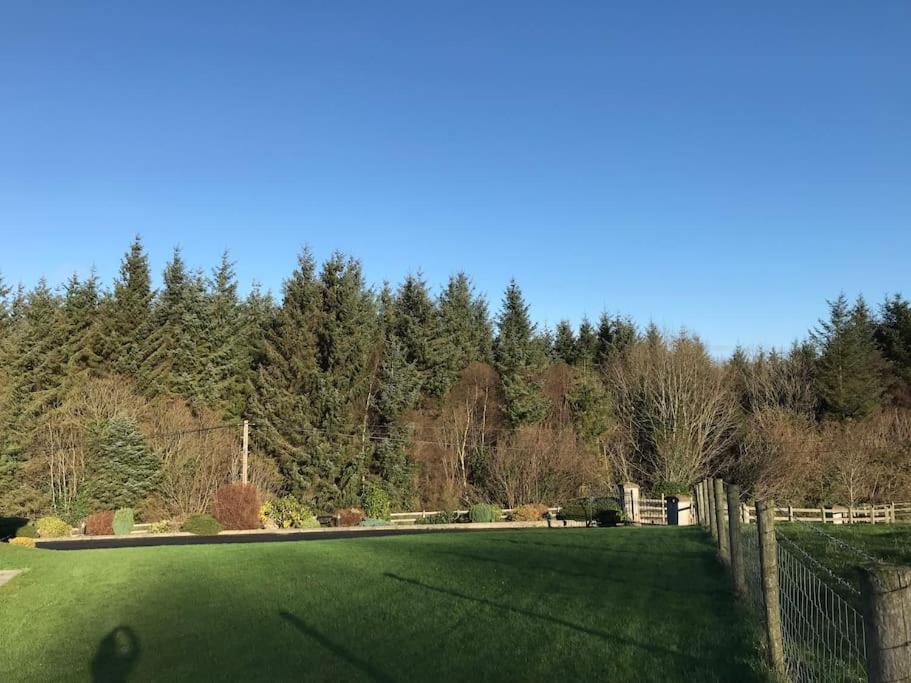 Forest View - Castlewellan, County Down Belfast Exterior photo